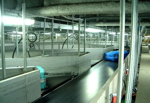 Expansive industrial interior with pipes, equipment, and storage containers.