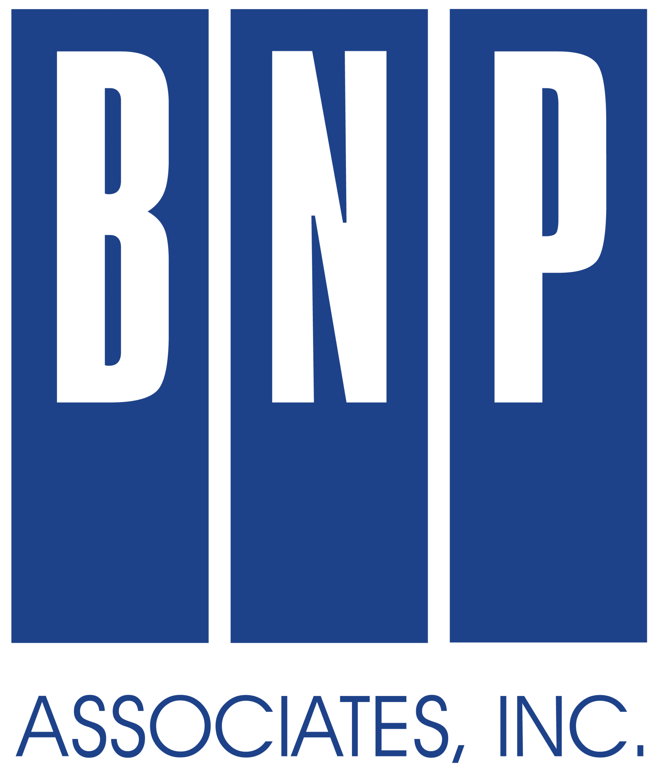 BNP Standard Logo - Dark Blue
